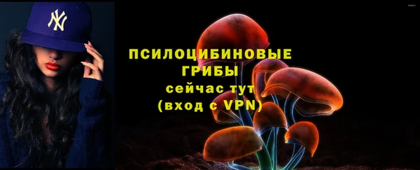 бошки Аркадак